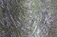 Hodsoll Street fibreglass roof work